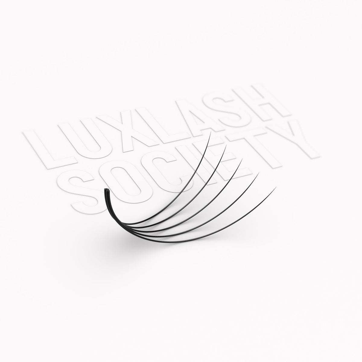 5d Fan 5D Medium Pro-Made Fans 0.06 – LUXLASH SOCIETY